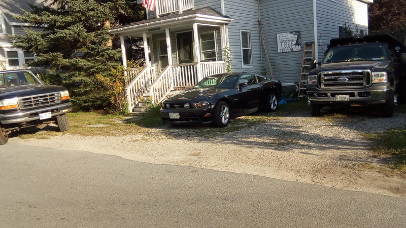 Our local arborist. His license plates are TREES, TREEMD, and TRUNKS. He owns two work trucks and a 5.0 Mustang...on an island with a 20mph speed limit.